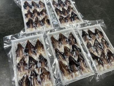 【数量限定】三河産 天然とり貝 計45枚（9枚×5パック）愛知県産 お刺身 冷凍 魚介類 海鮮 海の幸 寿司 国産 ご飯のお供 おつまみ グルメ やみつき たっぷり H018-055