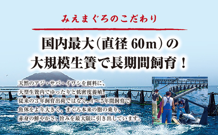 刺し身 本マグロ 600g 詰め合わせ 刺身 お刺し身 柵 マグロ 鮪