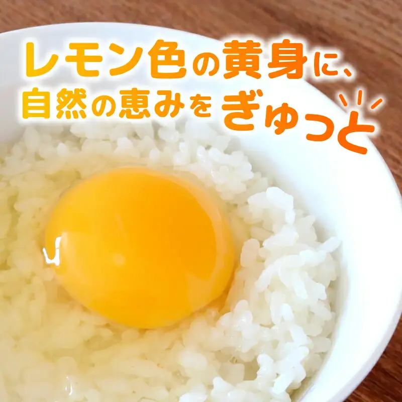 【たまご 定期便12回】平飼い卵 50個入 【たまご 高知県 南国市】