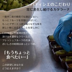 【 毎月 定期便 】 わらいみらい カタラーナ 濃厚 ブリュレ 毎回違う味が 6種類 ずつ届く 全3回 | プリン カタラーナ アイス あいす スイーツ フルーツ ケーキ 和風 お菓子 洋菓子 おやつ 詰め合わせ セット ギフト プレゼント 贈り物 冷凍 長野県 飯田市 信州