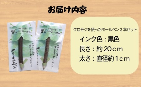 【いいやま北原産】 くろもじ ペン 2本セット （Bp-001） 長野県 飯山市 おすすめ ランキング おいしい 高評価 大人気 ギフト ボールペン 文房具