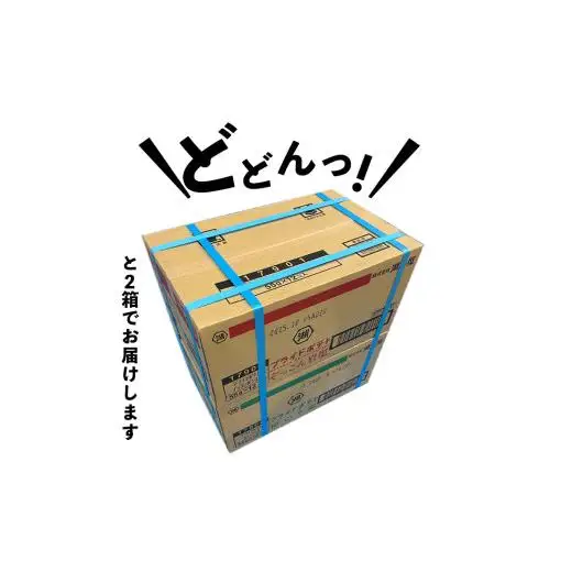 湖池屋 プライドポテト55g 2種類 詰め合わせ セット