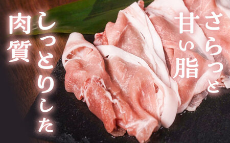 『香心ポーク』豚しゃぶ すき焼き用 もも肉 約250g×3パック（約750g）豚肉 しゃぶ すき焼き 冷凍 熊本県産 [AYCK013]