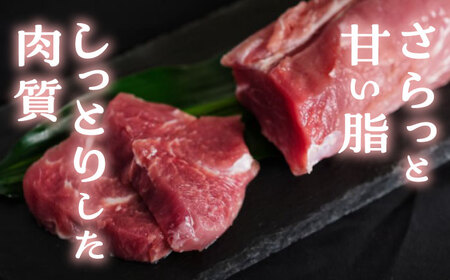 『香心ポーク』ヒレ ブロック 2本（約1.1kg）豚肉 ヒレ 冷凍 熊本県産 [AYCK015]