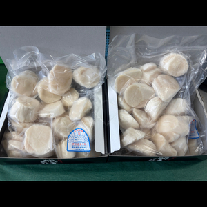 24-100 最高級！北海道オホーツク海産　冷凍ほたて貝柱（1kg）