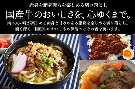 いちかわ精肉店「国産牛切り落とし」１ｋｇ 010AA08N.／堀田畜産 いちかわ精肉店 赤身 ヘルシー 牛肉 肉 お肉 国産 bbq バーベキュー 焼肉 アウトドア キャンプ 肉じゃが 肉うどん 野菜炒め 焼きそば 焼うどん 冷凍 料理 煮込み料理 