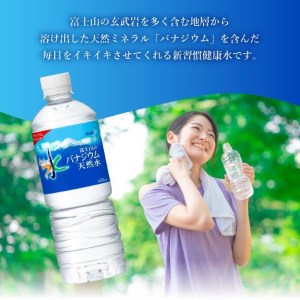 「アサヒ おいしい水 」 富士山のバナジウム天然水 2箱(48本入）PET600ml ペットボトル 24本×2 ミネラルウォーター バナジウム 飲料 備蓄 防災 ストック 防災グッズ 保存 