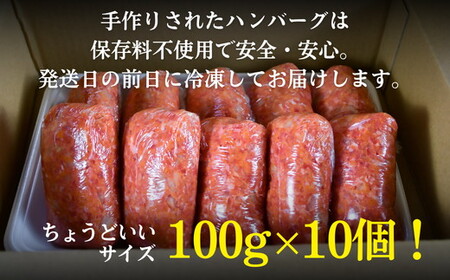 松阪牛 生ハンバーグ 1kg ( 100g × 10個 )  牛肉 ハンバーグ【1-439】