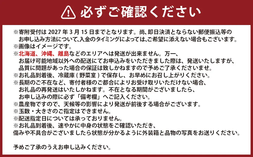 熊本県宇城市産 イチゴ 恋みのり 250g×4パック 合計約1kg 【2027年2月上旬発送開始】 いちご 苺 こいみのり 果物 くだもの フルーツ 果実 果肉 おやつ 熊本県産