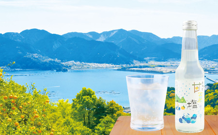 海洋深層水 の 甘夏 塩 サイダー ［香料・酸味料・保存料不使用］ と 塩けんぴ ２袋  12本  炭酸  ジュ ース 飲料  菓子 つまみ  ギフト  贈り物  詰め合わせ 三重県 尾鷲 しお学舎  MO-22