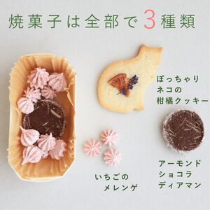 富良野 花七曜 リースと焼菓子セット Cat mini ラベンダー ホワイト ◆ ドライフラワー