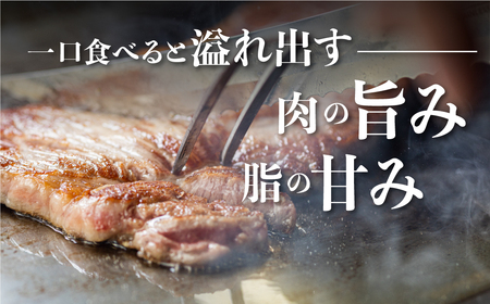 飛騨牛 サーロインステーキ 250g×2枚 500g 飛騨の牧場で育った熟成『山勇牛』牛肉 和牛 サーロイン ブランド牛 和牛 A4 A5 ランクのみ 冷凍 飛騨市