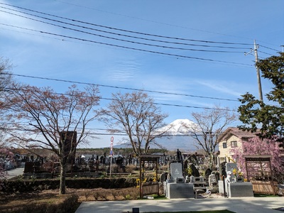 承天寺　忍野富士どうぶつ霊園集合墓
