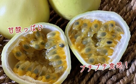 【 7月下旬～8月 先行予約 】種子島 黄色い パッションフルーツ さご農園 (20個入り)　NFN600 【450pt】 // 夏期限定 安心・安全