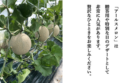 【先行予約】アールスメロン 1玉（1.7kg以上）化粧箱入り 令和8年8月上旬より順次発送 先行予約 マスクメロン