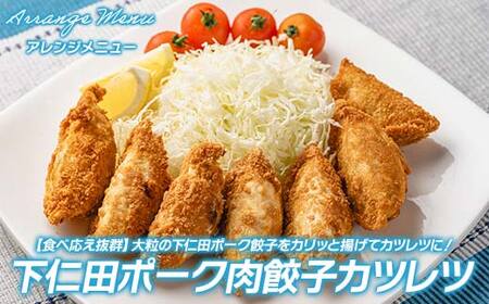 「下仁田名産シリーズ」 下仁田ねぎ殿様餃子 60個（20個×3袋）と下仁田ポーク肉餃子 45個（15個×3袋）セット 餃子 ぎょうざ ギョーザ 中華 冷凍餃子 おかず おつまみ 惣菜 マツコの知らない世界 F21K-489