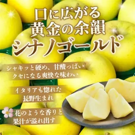 【26年11月より順次発送】平均糖度13度以上! シナノゴールド 約5kg おもてなし用 青森県産【配送不可地域：沖縄県】【1610051】