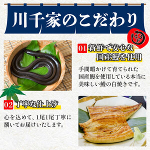 鰻白焼 3尾 うなぎ 【 鰻 】
