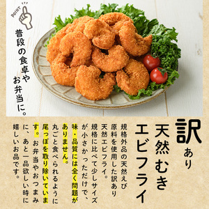 ＜訳あり＞天然むきエビフライ(計1kg ・500g×2P) 海老 えび エビフライ フライ 簡単 お弁当 おかず おつまみ 揚げるだけ 【104901000】【浜繁水産】