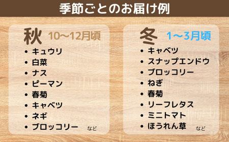 【6ヶ月定期便】新鮮野菜の産直 7～10品目 ＜楠こもれびの郷「楠四季菜市」＞｜野菜 宇部