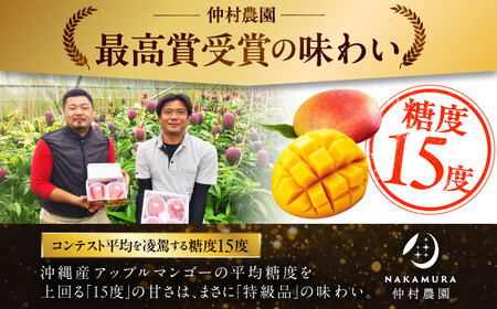 マンゴー 訳あり【2026年発送】仲村農園マンゴー 1kg 