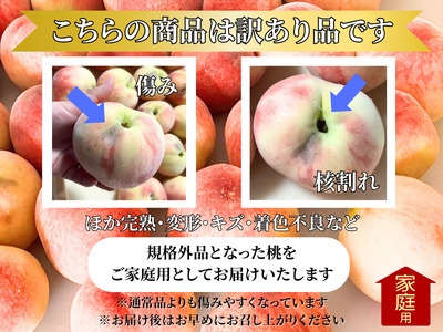 【訳あり】山梨県産旬の桃 約3kg（8～12玉）ご家庭用【2026年発送】（LKS）A08-851 桃 フルーツ