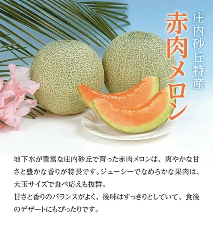SA2979　メロン食べ比べ『品種おまかせ(青肉・赤肉)メロン 』　約3kg 計2玉(各1玉入)