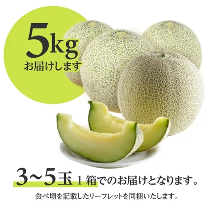 SB0923　庄内砂丘 『品種おまかせ青肉メロン』　約5kg(3～5玉入)