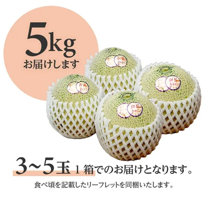 SB0922　庄内砂丘 『品種おまかせ赤肉メロン』　約5kg(3～5玉入)