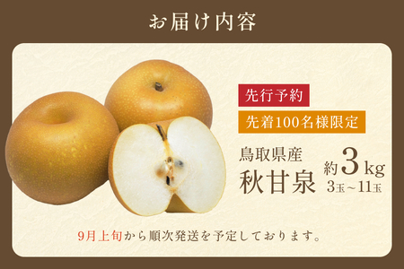 【2026・先行予約】 プレミアム秋甘泉（あきかんせん）3kg｜鳥取 果物 フルーツ なし 梨 2026年収穫後【41033】