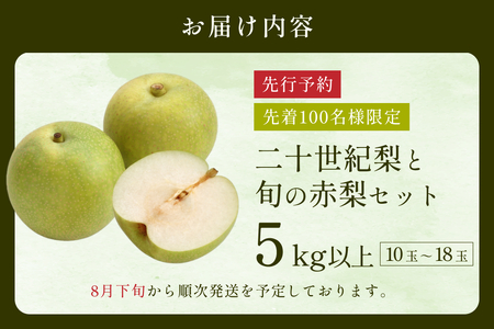 【2026・先行予約】 二十世紀梨と旬の赤梨セット 5kg｜鳥取 果物 フルーツ なし 梨 品種はおまかせ 2026年収穫後【41038】