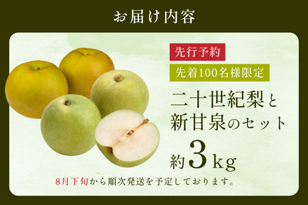 【2026・先行予約】 二十世紀梨と新甘泉セット 3kg｜鳥取 果物 フルーツ なし 梨 2026年収穫後【41040】