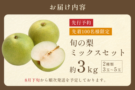 【2026・先行予約】 品種はおまかせ2種類 旬の梨ミックス 3kg｜鳥取 果物 フルーツ なし 梨 2026年収穫後【41042】