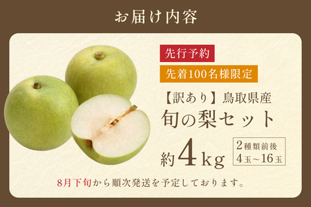 【2026・先行予約】訳あり 鳥取県産旬の梨セット 4kg｜鳥取 果物 フルーツ なし 梨 2026年収穫後【41044】
