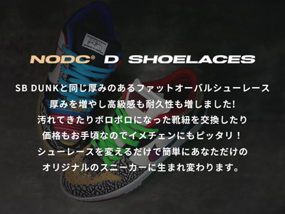 NODC D SHOELACES［173N14］