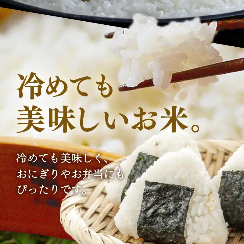 令和7年産 あきさかり 無洗米 10kg × 1袋（計10kg） ／ 米 10キロ 福井県産 ブランド米 あきさかり ご飯 白米 新鮮 高品質米 [aw121-b004]