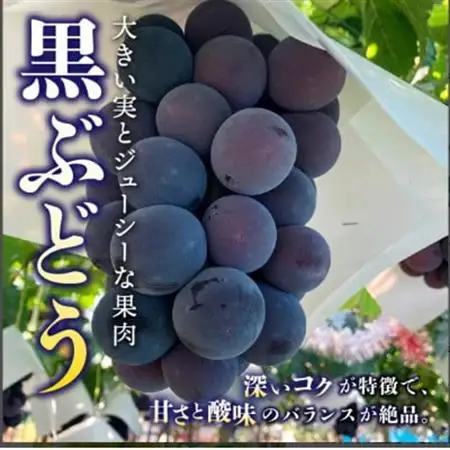 【発送月固定定期便】桃2kg(5～8玉)　黒ぶどう1房　シャインマスカット2房1kg以上全3回【配送不可地域：離島】【4067606】