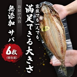 サバ 干物 個包装 6枚 無添加 サバ