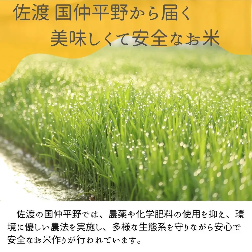 【新潟県佐渡】国仲平野産コシヒカリ＜数量限定・生産地域限定＞ 令和７年産 精米【無洗米】5kg 送料無料