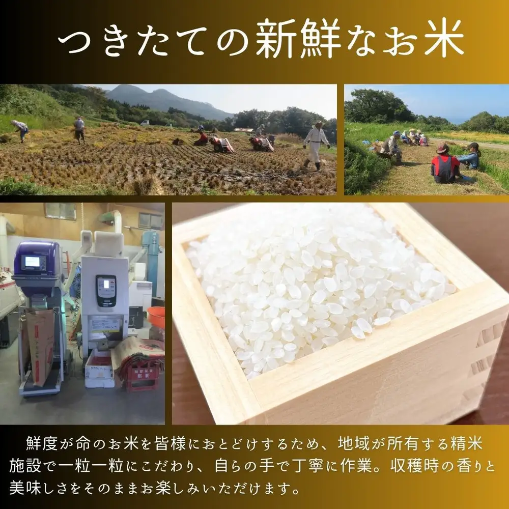 【新潟県佐渡】達者集落産コシヒカリ＜数量限定・生産地域限定＞ 令和７年産 精米【無洗米】5kg 送料無料
