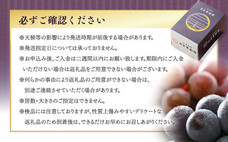 【定期便3回】 ［種なし］ 岡山県産 ニューピオーネ ・ クイーンニーナ ・ シャインマスカット 1kg箱（2房入り）【2026年8月下旬発送開始】 ／ ぶどう ブドウ 葡萄 大粒 種なし 種無し フルーツ 果物 くだもの 果実