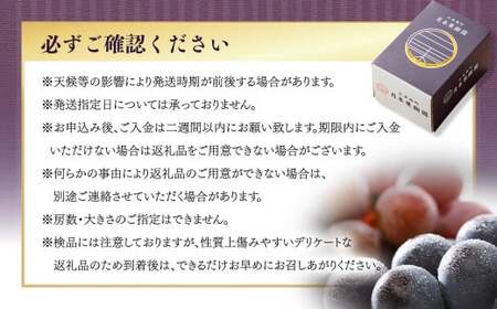 【定期便2回】 ［種なし］ 岡山県産 ニューピオーネ ・ クイーンニーナ 1kg箱（2房入り）【2026年8月下旬発送開始】 ／ ぶどう ブドウ 葡萄 大粒 種なし 種無し フルーツ 果物 くだもの 果実