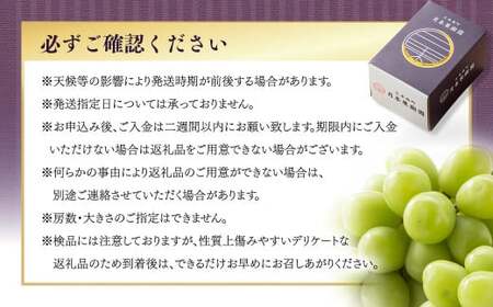 【定期便2回】 ［種なし］ 岡山県産 クイーンニーナ ・ シャインマスカット 1kg箱（2房入り）【2026年9月上旬発送開始】 ／ ぶどう ブドウ 葡萄 大粒 種なし 種無し フルーツ 果物 くだもの 果実