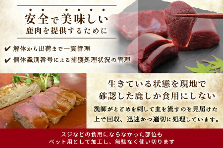 ジビエ料理 鹿肉缶詰３種類６缶セット 大和煮 デミグラス きのこ コンフィー 缶詰 国産 奥三河ジビエ ヘルシー 保存食 野菜 赤ワイン デミグラス煮 酒のつまみ 惣菜 常温保存 長期保存 防災 備蓄 非常食 保存食 肉 -110