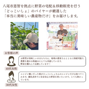 E158【定期便】季節の厳選野菜詰め合わせセット(お届け回数:4回)【やさい セット 詰合せ 6種類 11品 野菜セット 季節のやさい 八尾産 大阪 八尾市】