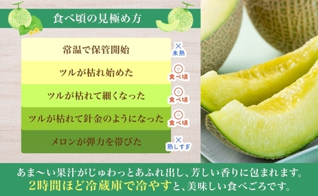 【2026年夏発送】北海道 青肉メロン 月雫 優品 4～6玉 計約8kg 令和8年 メロン 果物 フルーツ 旬 季節 希少 甘い 豊潤 国産 北海道産 デザート ご褒美 産地直送 産直 ギフト お祝い 贈答品 贈り物 御中元 お取寄 送料無料 