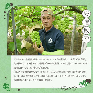 ≪2026年先行予約≫【安達農園】山形県産 ぶどう デラウェア 約2kg(10～12房) 秀品 小粒 種無し 2026年7月中旬から順次発送 F2Y-6290