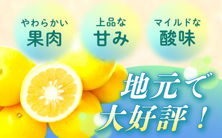 【ご家庭用】水晶文旦 約4kg[ECL007]文旦