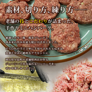 お肉屋さんの手作りミニハンバーグ(60g20個入り)