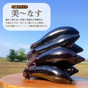 【先行受付】みのる農園 農家直送！夏野菜セット(ナス、ピーマン、オクラ)3.5kg やさい 詰合せ BBQ 2026年7月～10月上旬お届け 広島県三原市 206002
